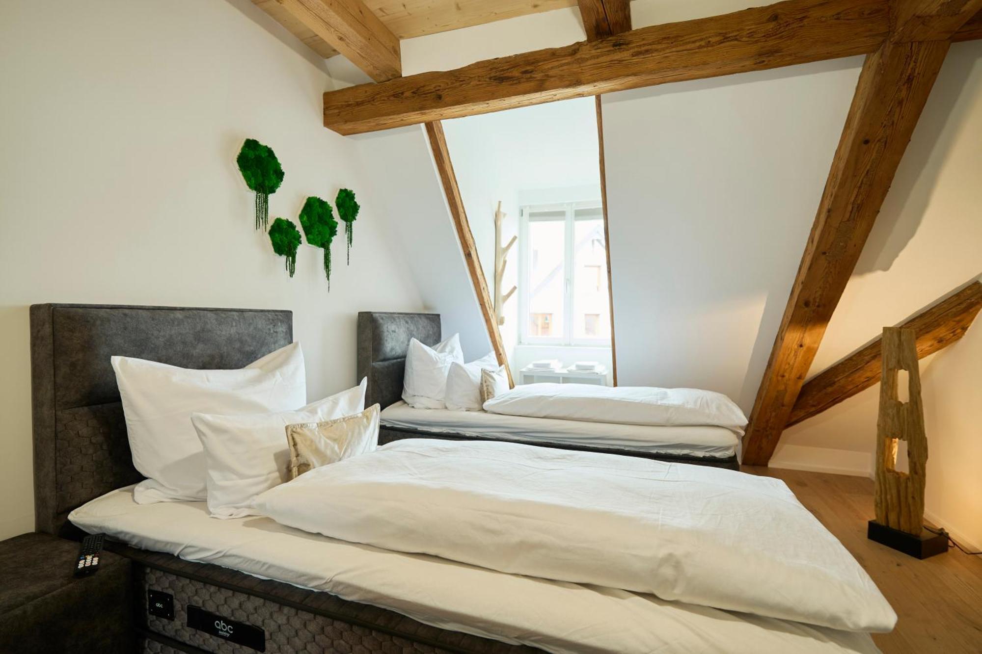 Apartamento Wood World Luxury - Massage - Bergblick - Tranpolin- Parken Markdorf Exterior foto