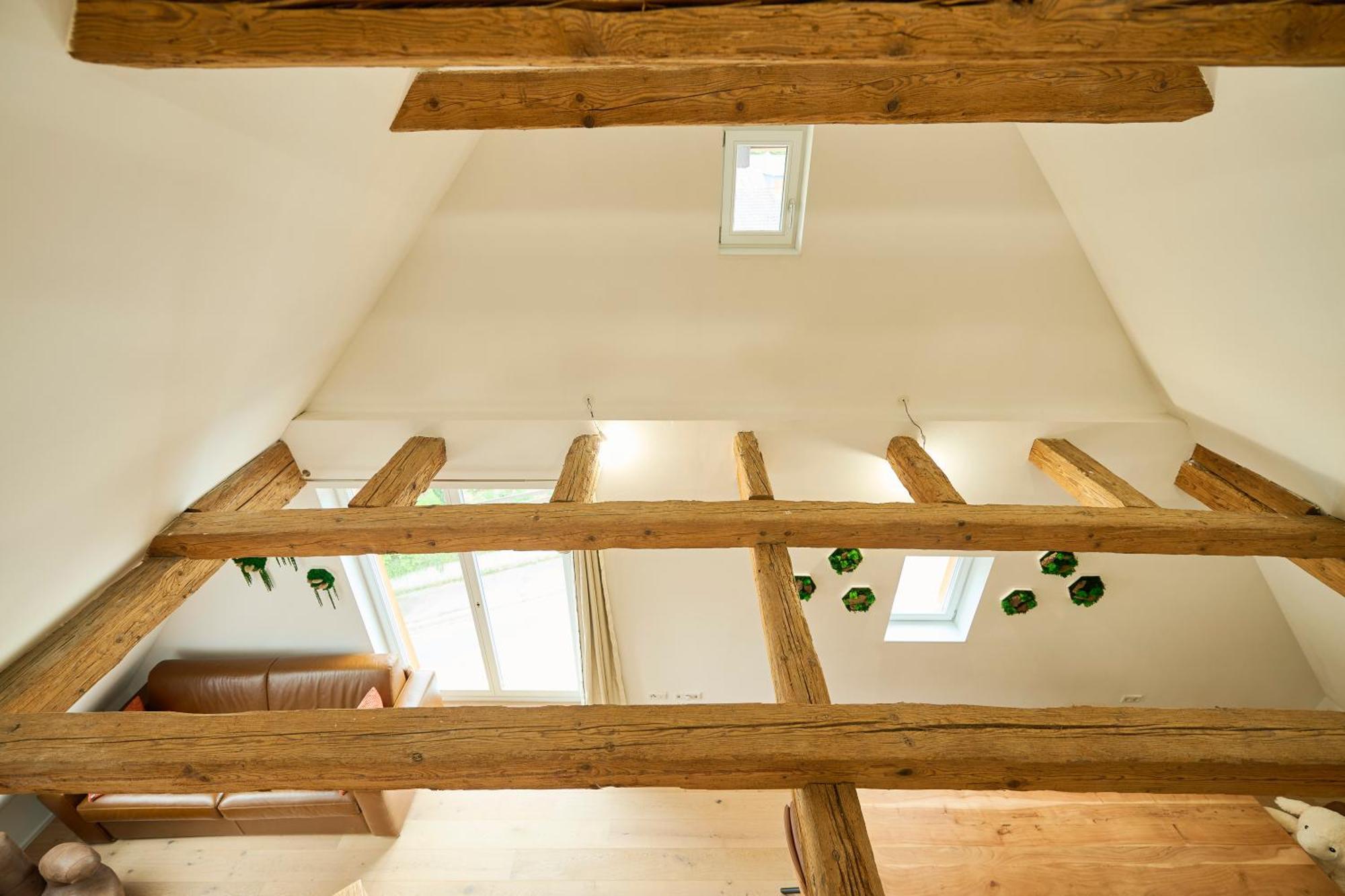 Apartamento Wood World Luxury - Massage - Bergblick - Tranpolin- Parken Markdorf Exterior foto