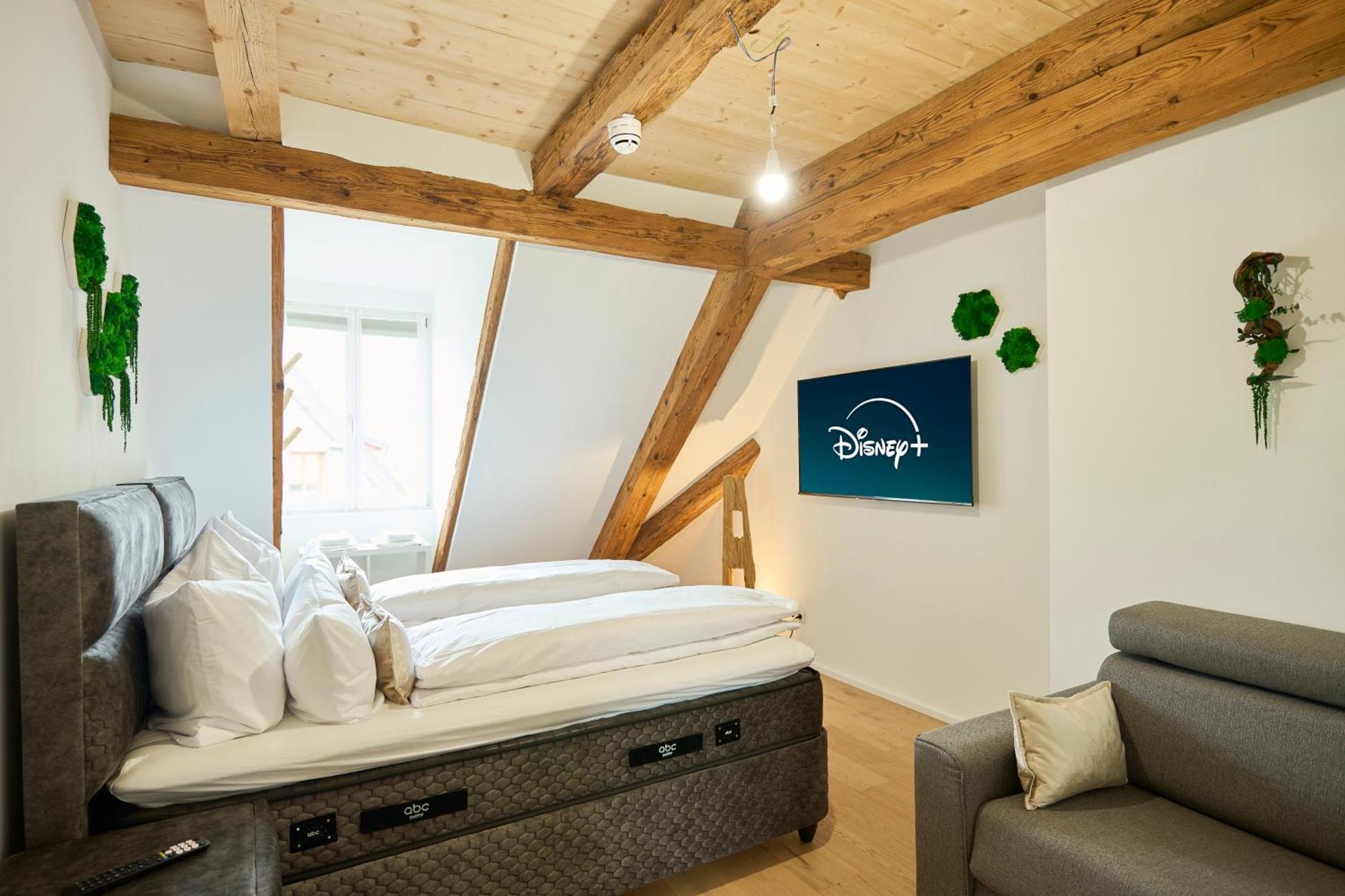 Apartamento Wood World Luxury - Massage - Bergblick - Tranpolin- Parken Markdorf Exterior foto